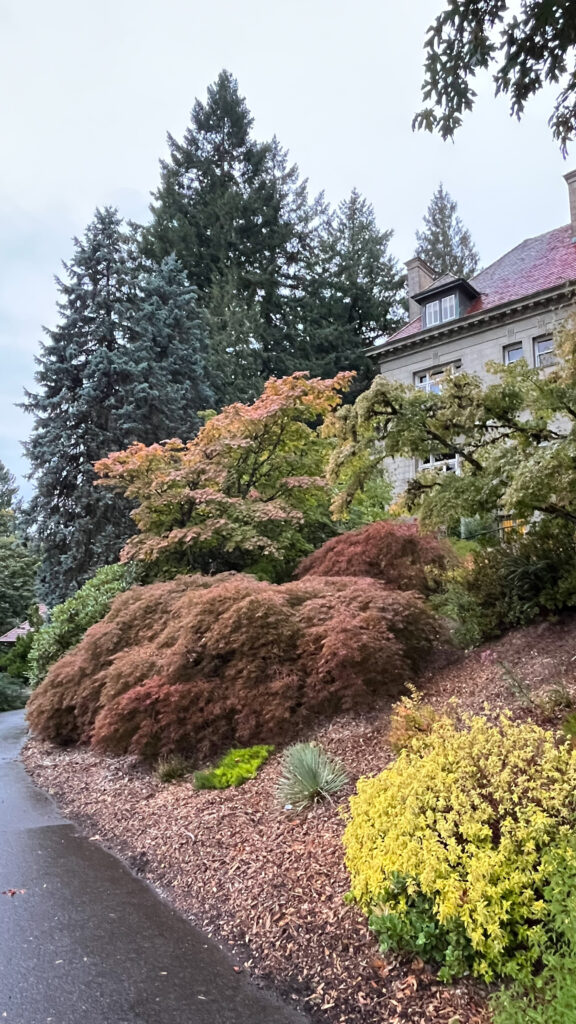 The attractive and well-maintained grounds of Pittock Mansion (Portland, OR)