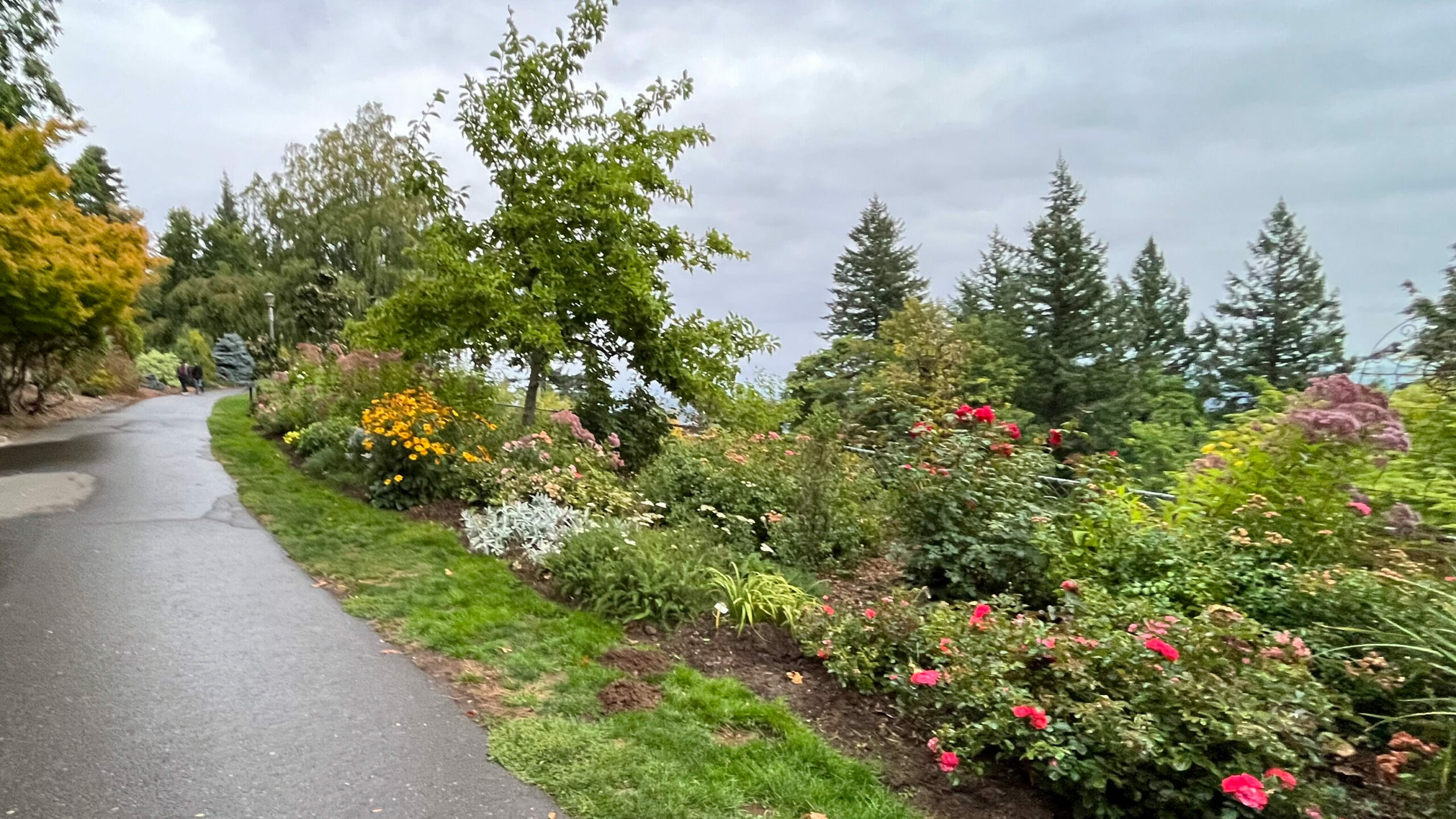 The lovely grounds of Pittock Mansion (Portland, OR)