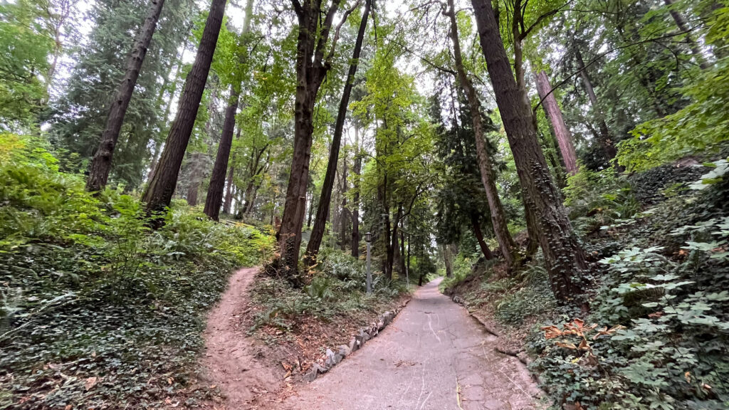 Walking in Washington Park to get to the International Rose Test Garden (Portland, OR)