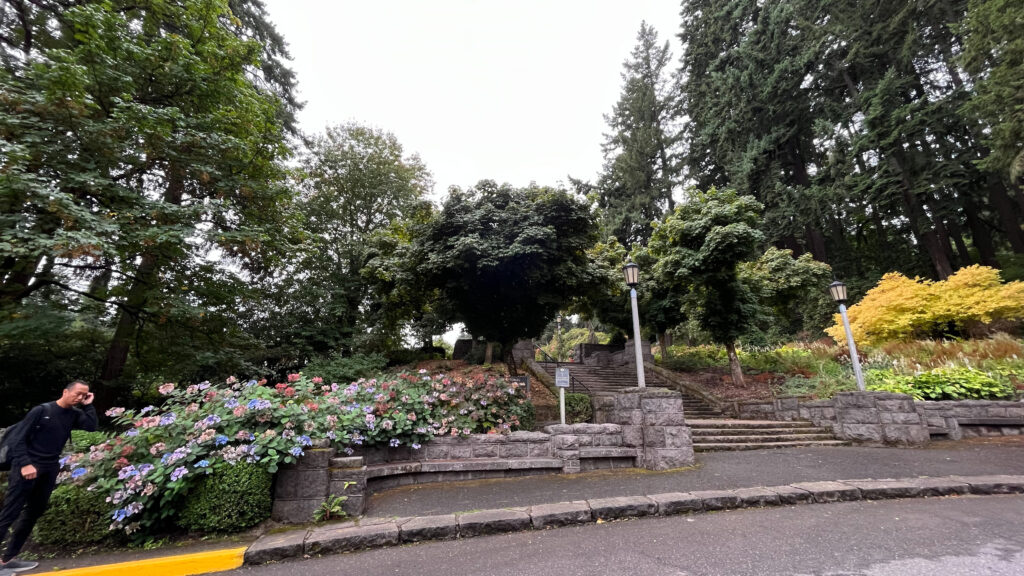 Just up those steps is the International Rose Test Garden in Washington Park (Portland, OR)