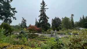 View looking down on the upper tier of the rose garden (International Rose Test Garden in Portland, OR)