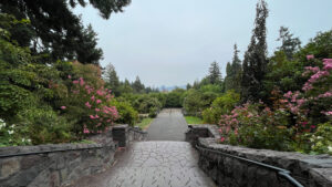 View looking down on one of the tiers of the rose garden with Portland in the distance (International Rose Test Garden in Portland, OR)