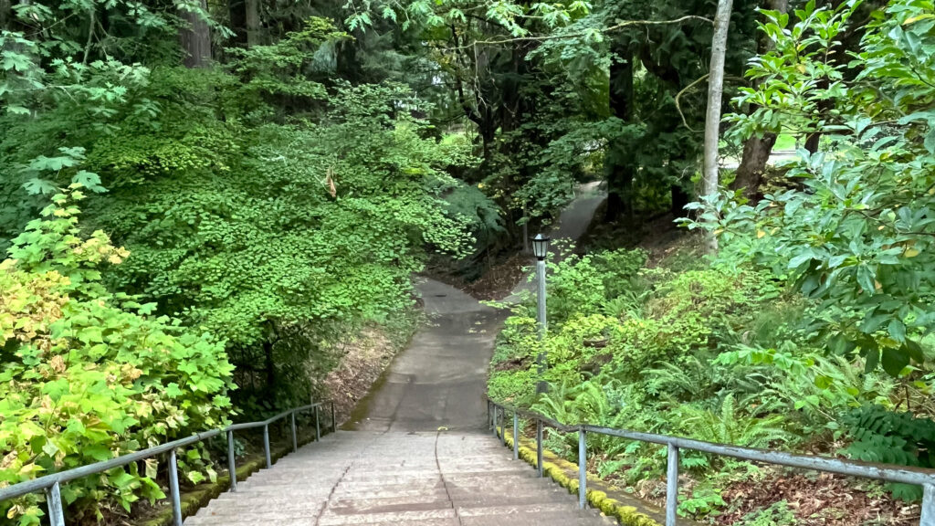 Part of Washington Park in Portland, OR