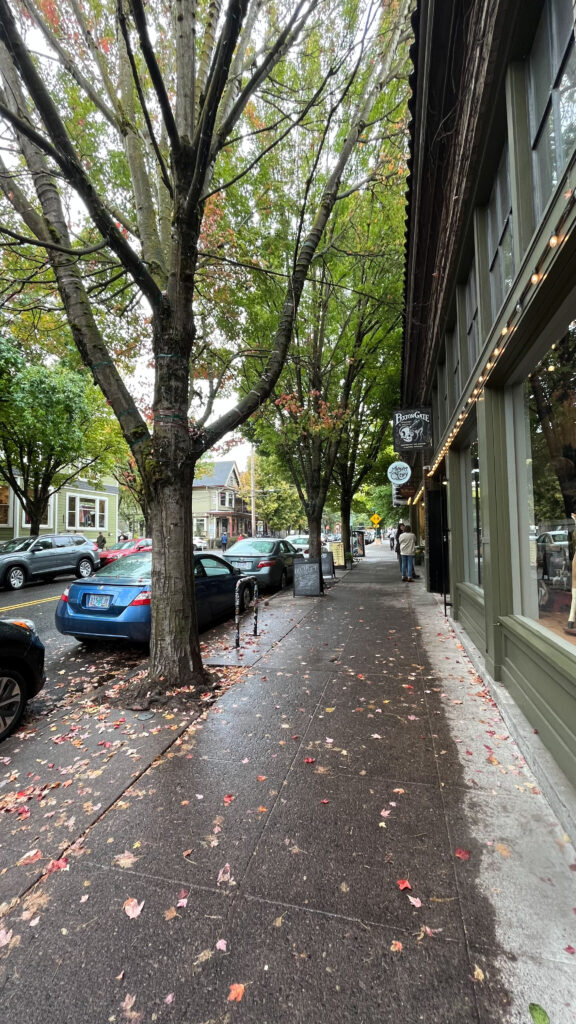 Walking south on NW 23rd Ave from Life of Pie Pizza (Portland, OR)