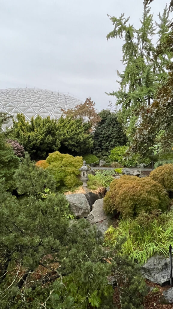 Bloedel Conservatory in the not too far distance (Queen Elizabeth Park in Vancouver, BC Canada)