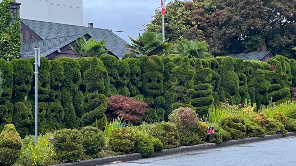 A closer up view of the unique, fun looking topiary we saw on our way from Queen Elizabeth Park to public transportation (in Vancouver, BC, Canada)