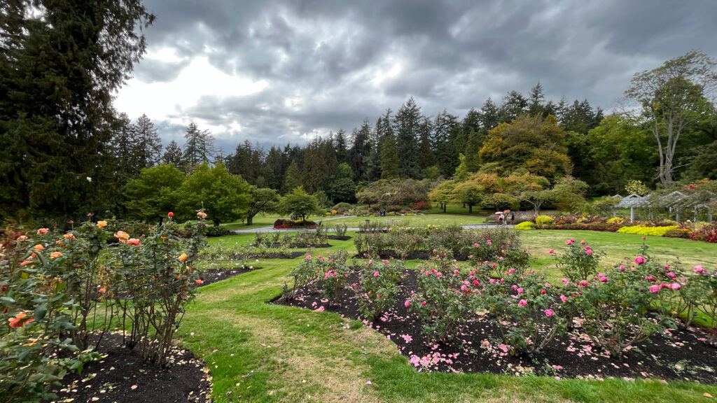 The Rose Garden in Stanley Park (Vancouver, BC, Canada)