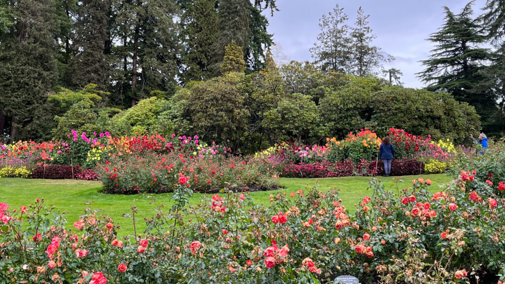 The Floral Display just across the street from the Rose Garden in Stanley Park (Vancouver, BC, Canada)