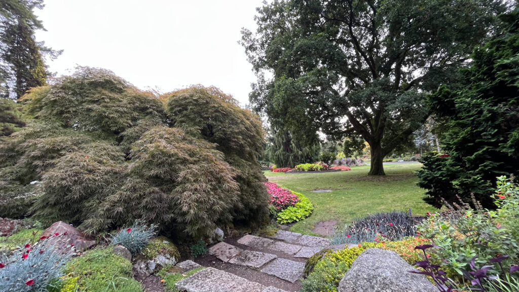 Near the Shakespeare Garden in Stanley Park (Vancouver, BC, Canada)