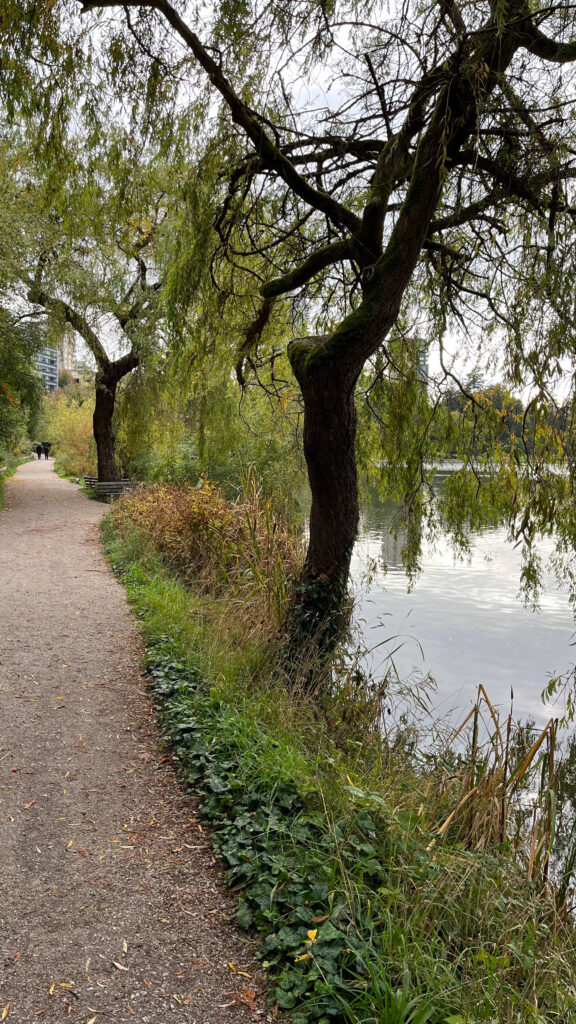 Walking by the Lost Lagoon again as we headed toward Denman Street (Stanley Park in Vancouver, BC, Canada)