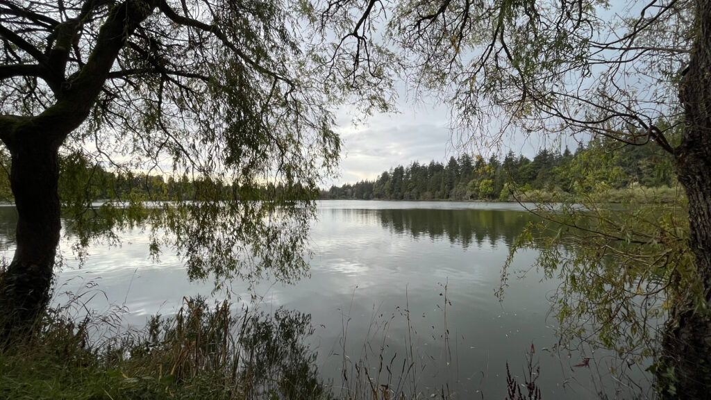 Walking by the Lost Lagoon again as we headed toward Denman Street (Stanley Park in Vancouver, BC, Canada)