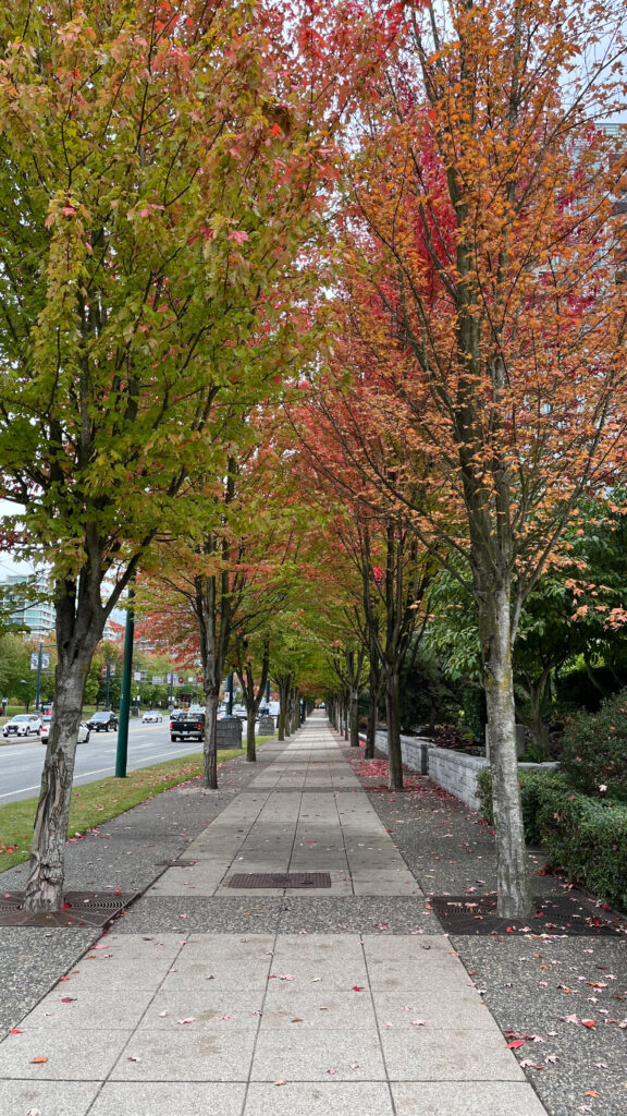 Walking on West Georgia Street as we walked from Stanley Park to Denman Street (A pretty autumn day in Vancouver, BC, Canada)