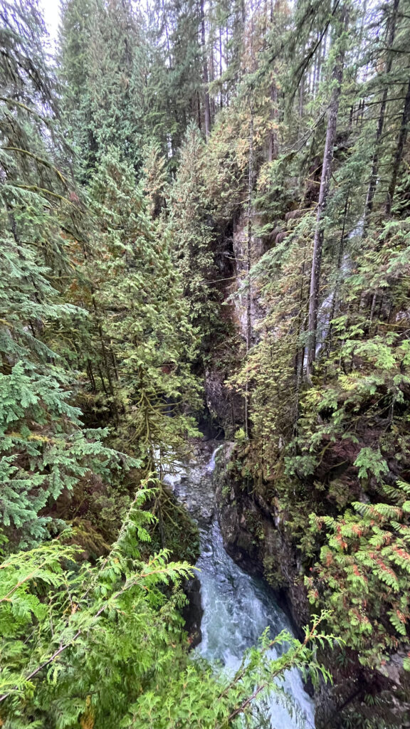 The view from one side of the Lynn Canyon Suspension Bridge. On the upper right you can see the waterfall dumping water into the canyon below (North Vancouver, BC, Canada)