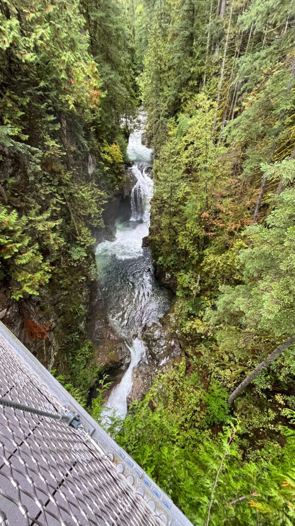 The view from the other side of the Lynn Canyon Suspension Bridge (North Vancouver, BC, Canada)