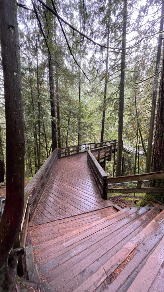 Much of Twin Falls trail has wooden walkways and wooden steps (Lynn Canyon Park in North Vancouver, BC, Canada)