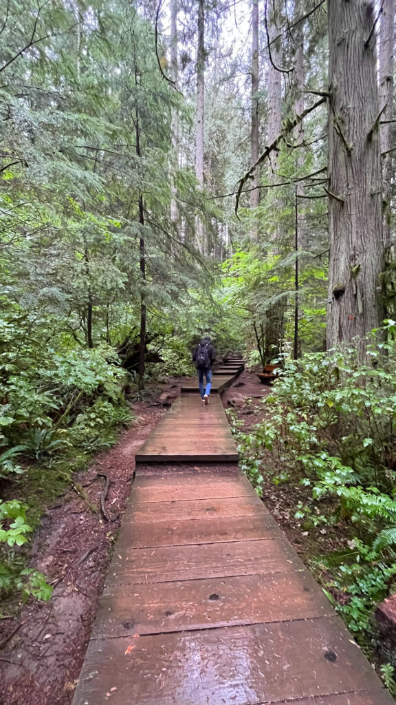 More wooden steps on Twin Falls trail (Lynn Canyon Park in North Vancouver, BC, Canada)