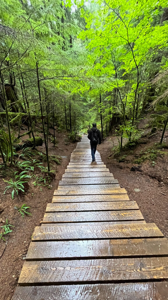 The wooden steps on Twin Falls trail take you up and down on your way to the wooden bridge over the falls (Lynn Canyon Park in North Vancouver, BC, Canada)