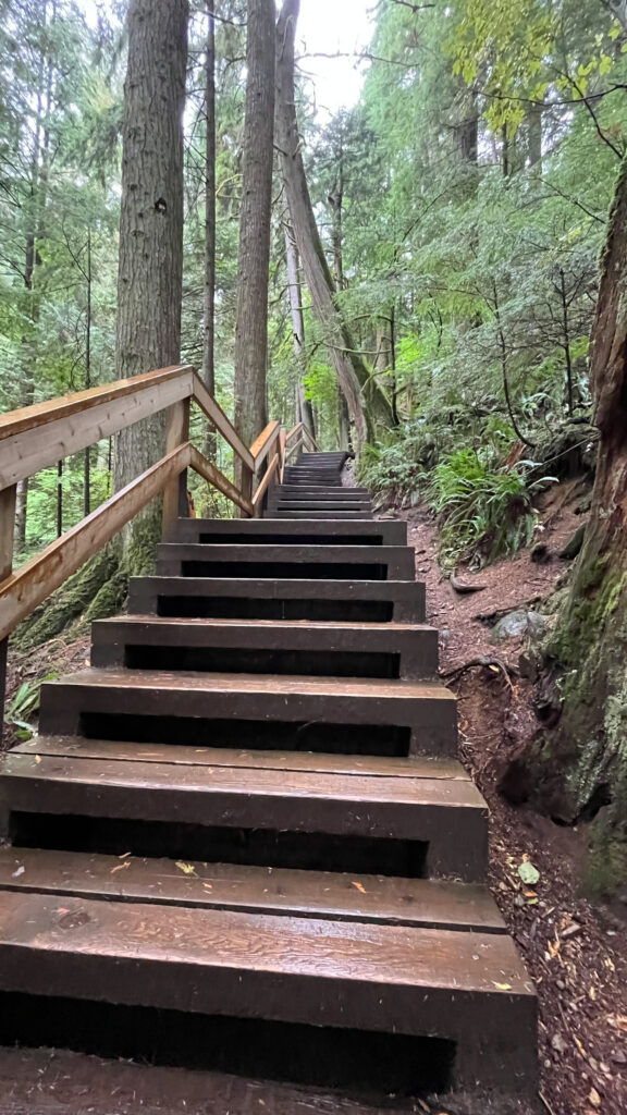 Heading back on the same wooden steps on Twin Falls trail because we didn't realize the trail was a loop (Lynn Canyon Park in North Vancouver, BC, Canada)