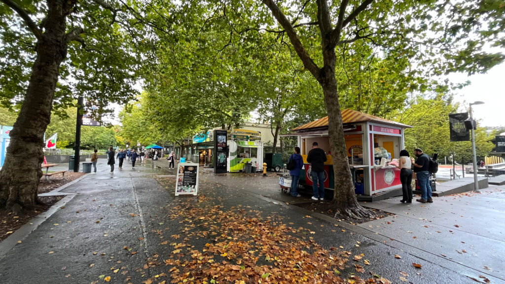 Dog in the Park near the right. (Seattle Center in Seattle, WA)