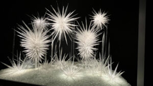 White glass artwork at Chihuly Garden and Glass (Seattle, WA)