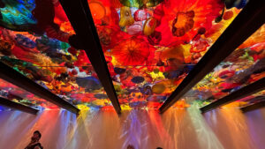 Colorful glass artwork ceiling with colorful reflections on the walls at Chihuly Garden and Glass (Seattle, WA)