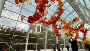 Large, hanging glass artwork in shades of red, orange and yellow in the glasshouse at Chihuly Garden and Glass. Part of the Space Needle can be seen nearby through the windows (Seattle, WA)