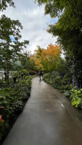 Walkway flanked by glass artwork in the garden at Chihuly Garden and Glass (Seattle, WA)