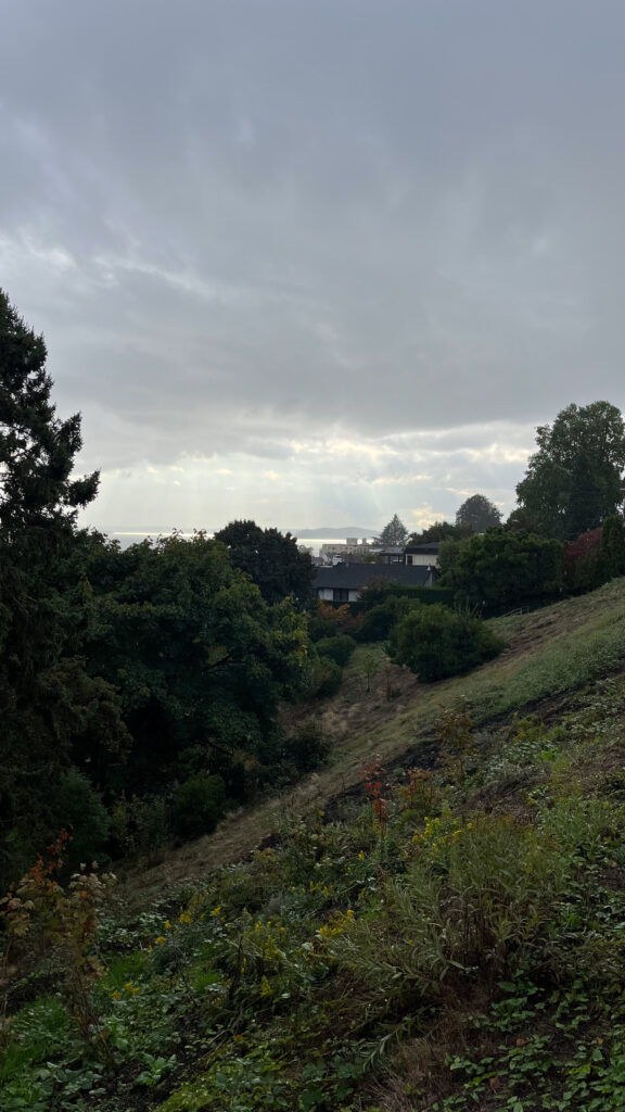 A view from Kerry Park (Seattle, WA)