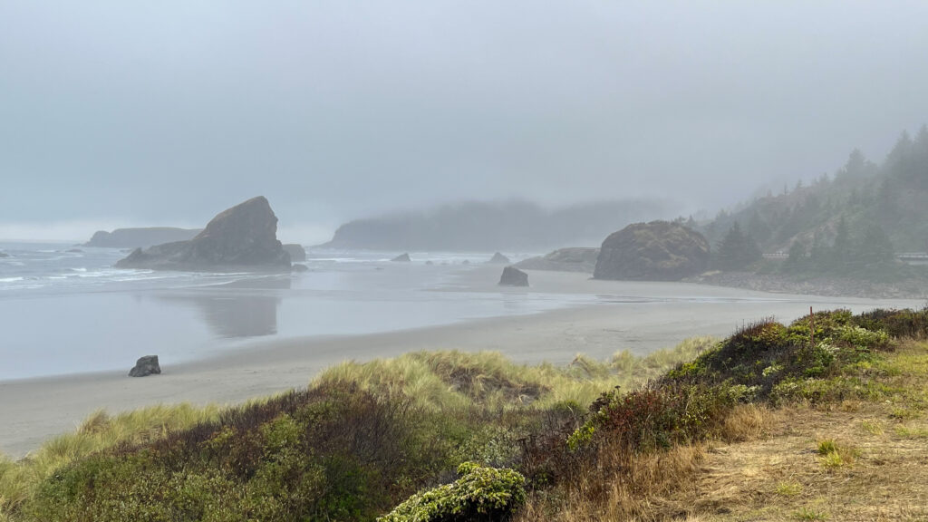 Meyers Beach (about a minute drive up the road from where the previous photo was taken) (U.S. Route 101 in Oregon)