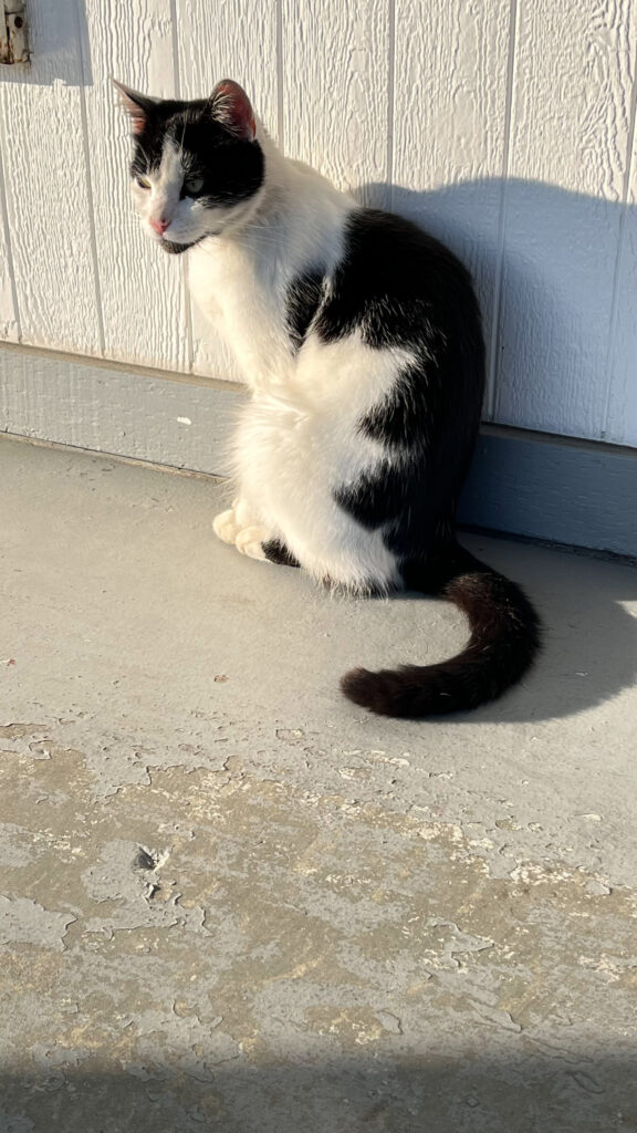 Our new friend we met at our motel in Crescent City, CA.