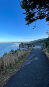 Crescent Beach Overlook (Crescent Beach, CA off of Highway 101 in Del Norte Coast Redwoods State Park)