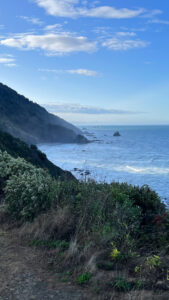 View from the walkway to Crescent Beach Overlook (Crescent Beach, CA off of Highway 101 in Del Norte Coast Redwoods State Park)