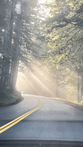 The sunbeams shining through the towering redwoods was an impressive sight (Highway 101 in ￼Del Norte Coast Redwoods State Park, CA)