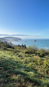 Demartin Viewpoint (on Highway 101 in Del Norte Coast Redwoods State Park, CA)