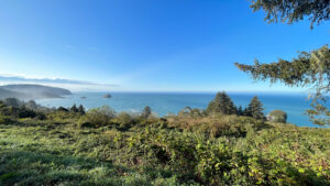 Demartin Viewpoint (on Highway 101 in Del Norte Coast Redwoods State Park, CA)