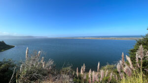 Big Lagoon and the North Pacific Ocean on the right off of Highway 101 during our drive from the Newton B. Drury Scenic Parkway to Avenue of the Giants (Redwood Forest, CA)