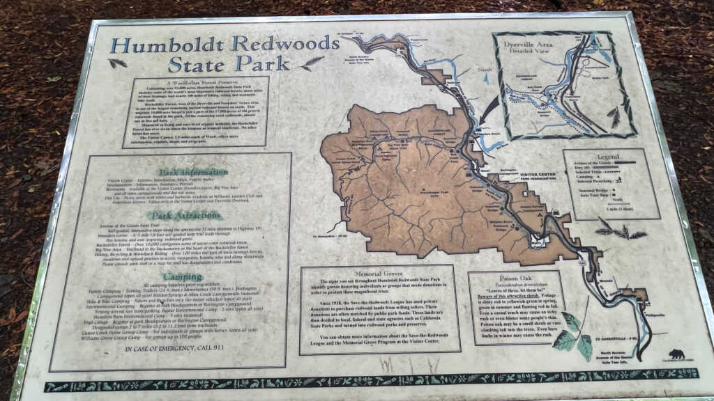 A little after starting our drive south on Avenue of the Giants we pulled over to find helpful information just off the road (Humboldt Redwoods State Park)