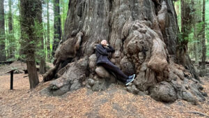 My husband pretending to take a quick nap on a large tree trunk along the Gould Grove Nature Loop Trail (off of Avenue of the Giants in Humboldt Redwoods State Park in Northern California)