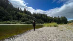 The Eel River accessed from the Gould Grove Nature Loop Trail (off of Avenue of the Giants in Humboldt Redwoods State Park in Northern California)