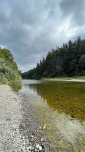 The Eel River accessed from the Gould Grove Nature Loop Trail (off of Avenue of the Giants in Humboldt Redwoods State Park in Northern California)