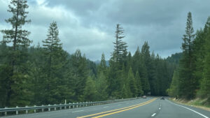 Back on Highway 101, driving south toward the Grandfather Tree (Redwoods in Northern California)