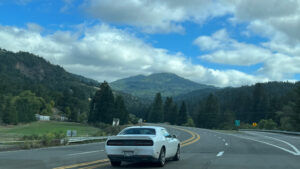 Back on Highway 101, driving south toward the Grandfather Tree (Redwoods in Northern California)