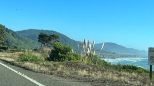 Highway 1 during our drive to Glass Beach in Fort Bragg, CA