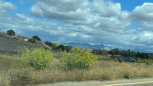 Highway 101 south of Los Alamos, CA