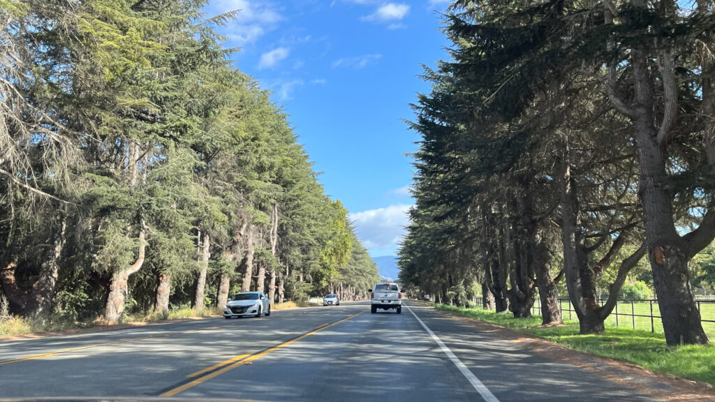 The drive from Buellton, CA to Solvang, CA on Highway 246