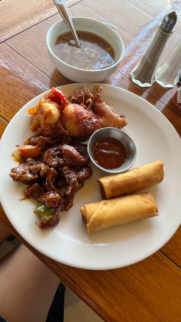 Chicken Manchow Soup, Vegetable Spring rolls with hot garlic sauce, Vegetable Salt and Pepper and Pork Stir-fry from the included (free) Chinese Food at Seafood Shack on the Carnival Venezia