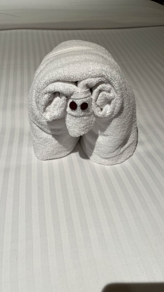 Towel animal in our Inside Stateroom on the Carnival Venezia