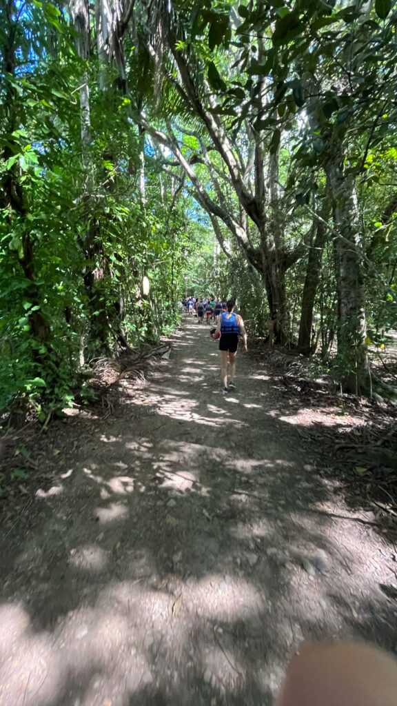 The trail to the waterfalls at Damajagua 27 Falls in the Dominican Republic