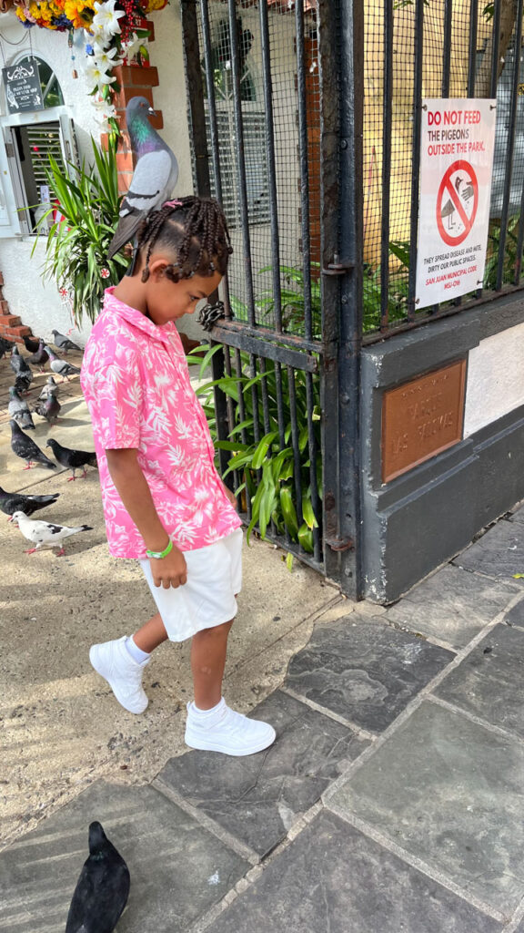 Parque de las Palomas (Pigeon Park) in San Juan, Puerto Rico. This young boy was feeding the pigeons, and the whole time he fed them, one of the pigeons sat on his head. When he walked out of the park, the pigeon stayed on his head and left the park with the young boy. 