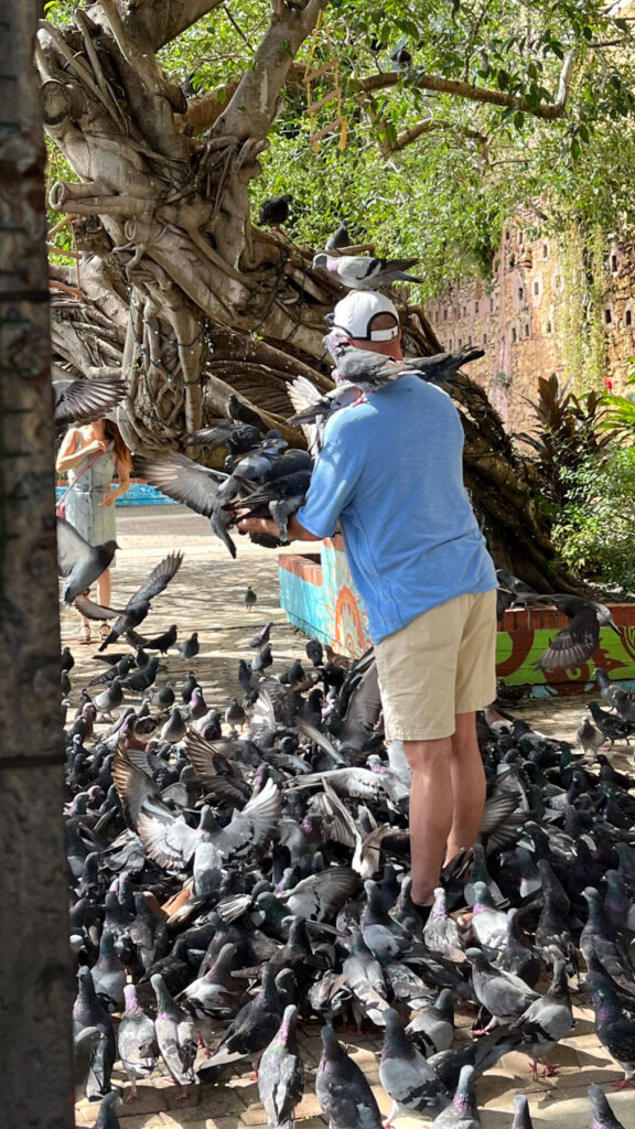 Man feeding the pigeons in Parque de las Palomas (Pigeon Park) in San Juan, Puerto Rico